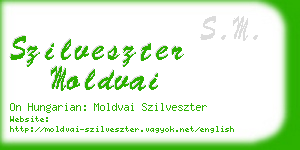 szilveszter moldvai business card